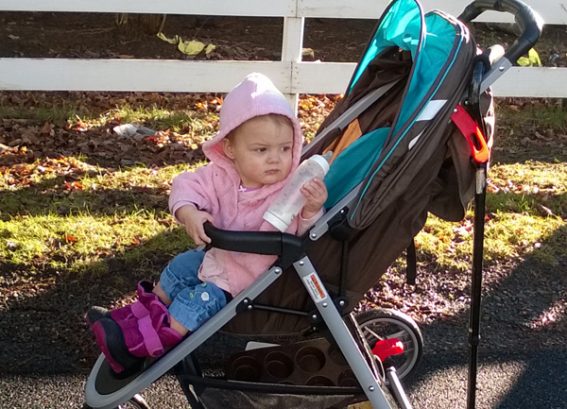 Isabella Mia Moda Stroller