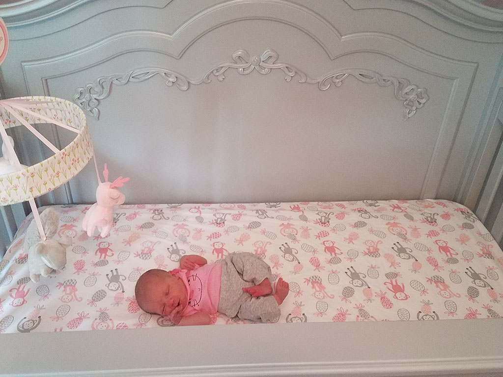 Evolur Aurora - Elena Girl Baby Nursery Pic 1