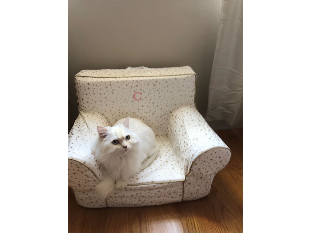 Evolur-Aurora-Collection-Amber-Joi-Watkins-Nursery_6