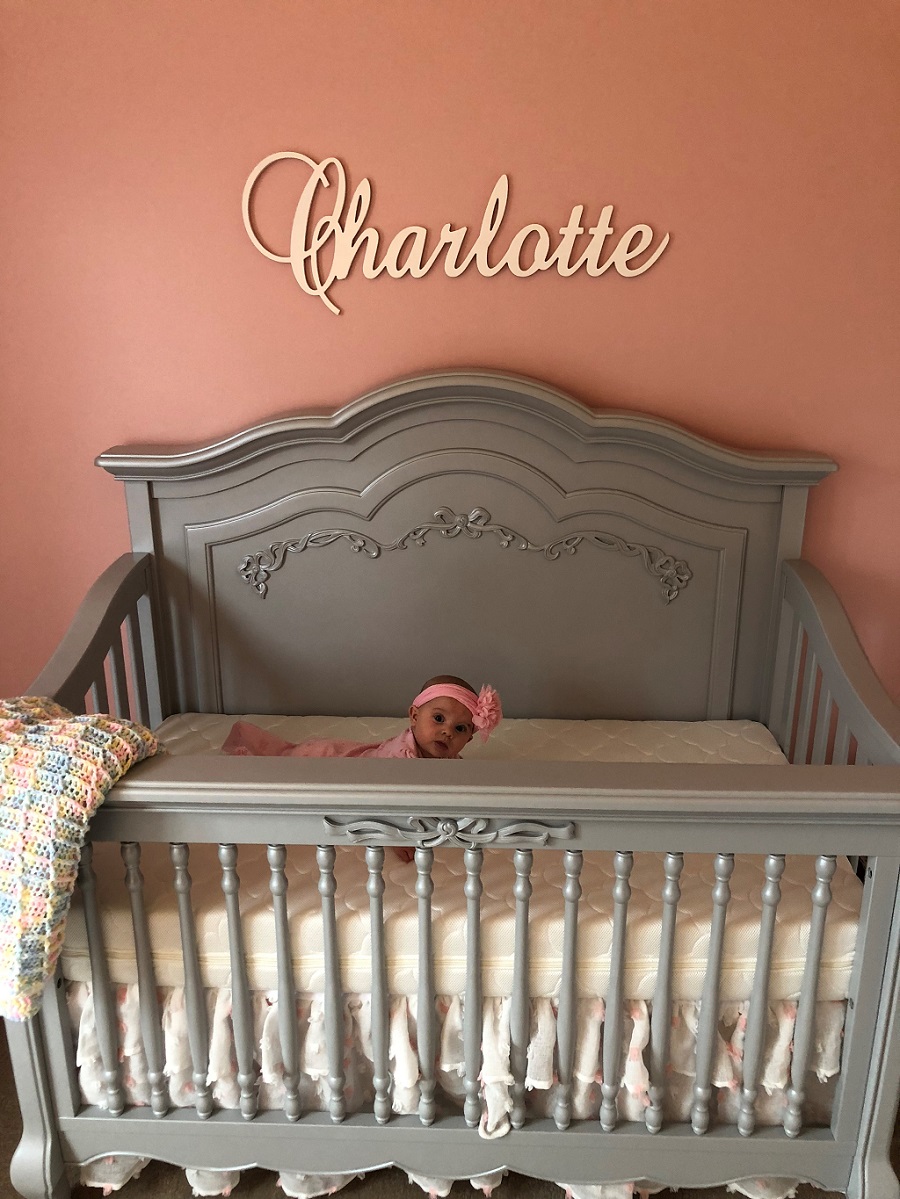 Evolur Aurora Crib Nichole Kotarski Charlotte Nursery
