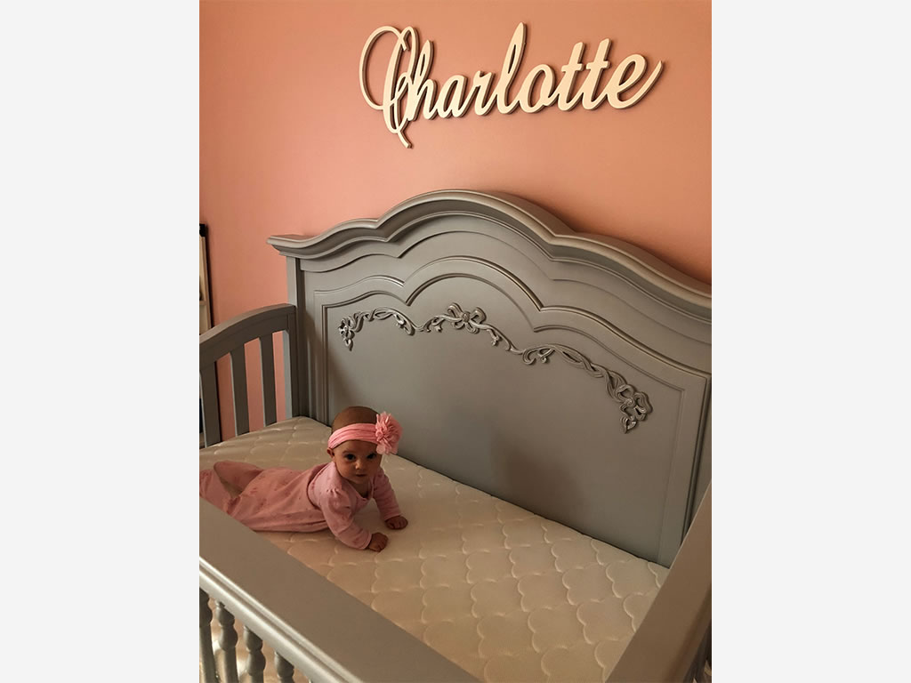 Nichole Kotarski Charlotte Baby with Evolur Aurora Nursery