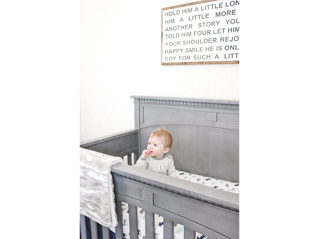 Evolur Santa Fe Erin Caspar Nursery Pic 4