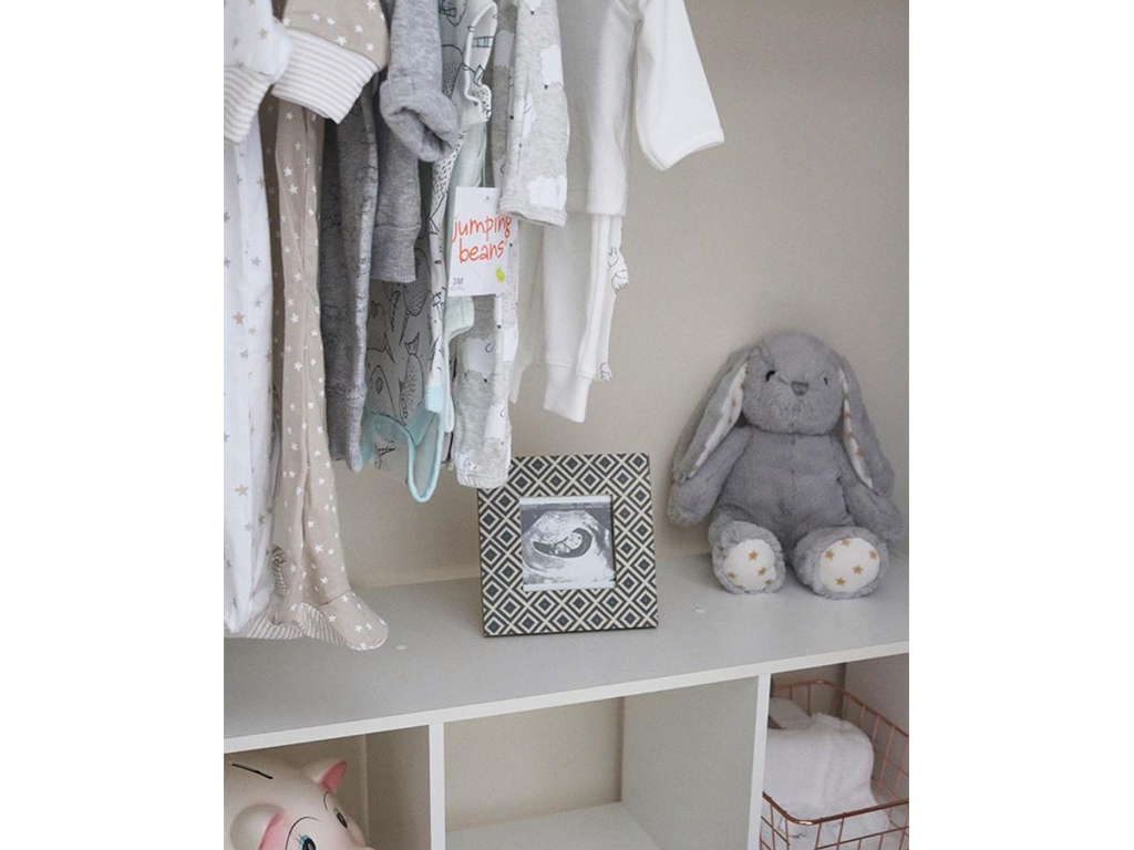 Evolur Santa Fe Erin Caspar Nursery Pic 9