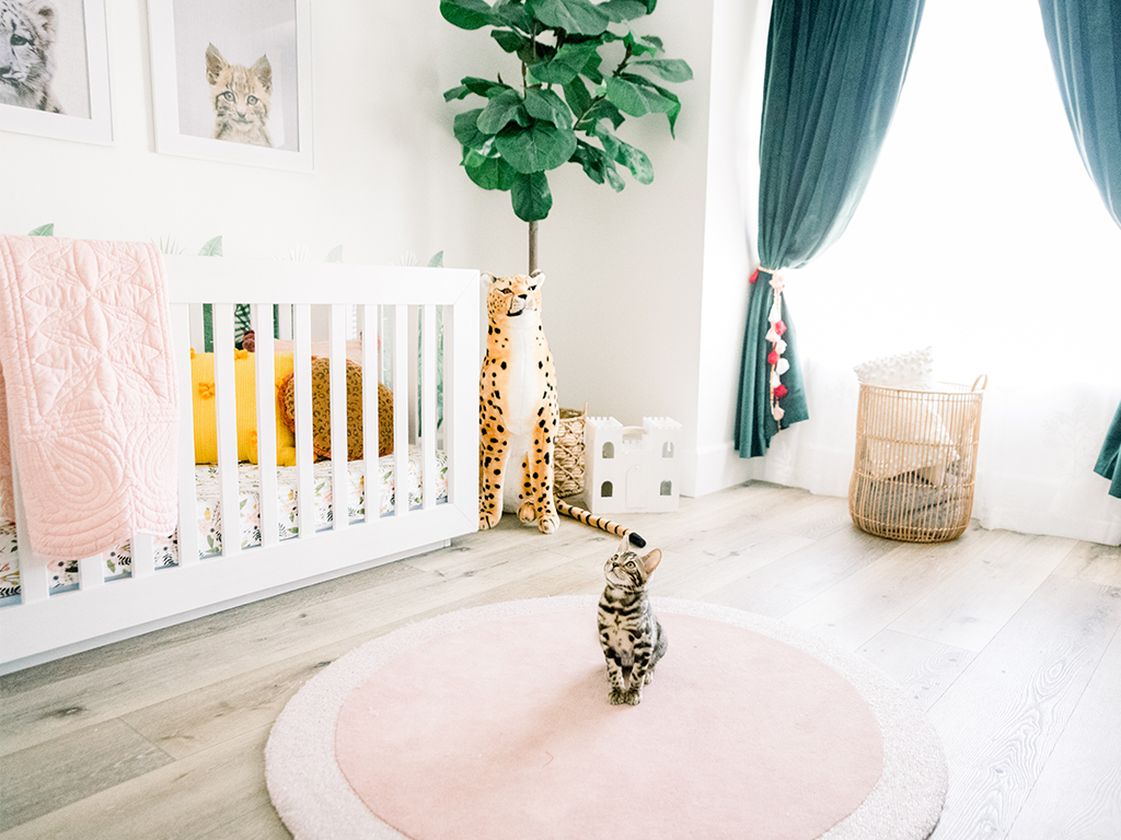 Cat themed nursery