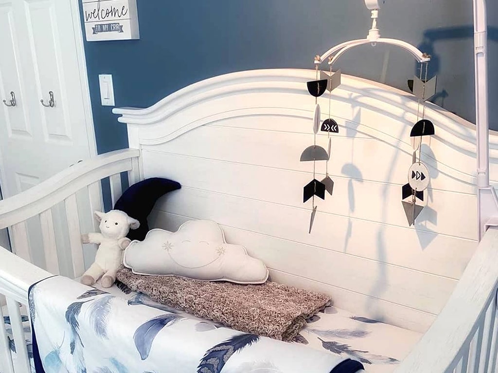 Celestial Body Cushions