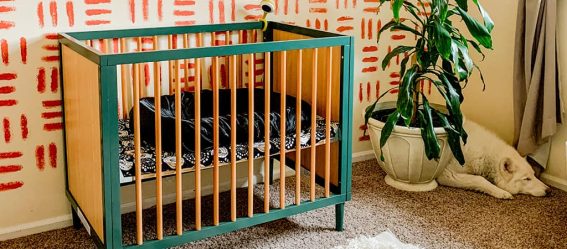 Dream On Me Lucas Mini Crib slightlytiredbailey