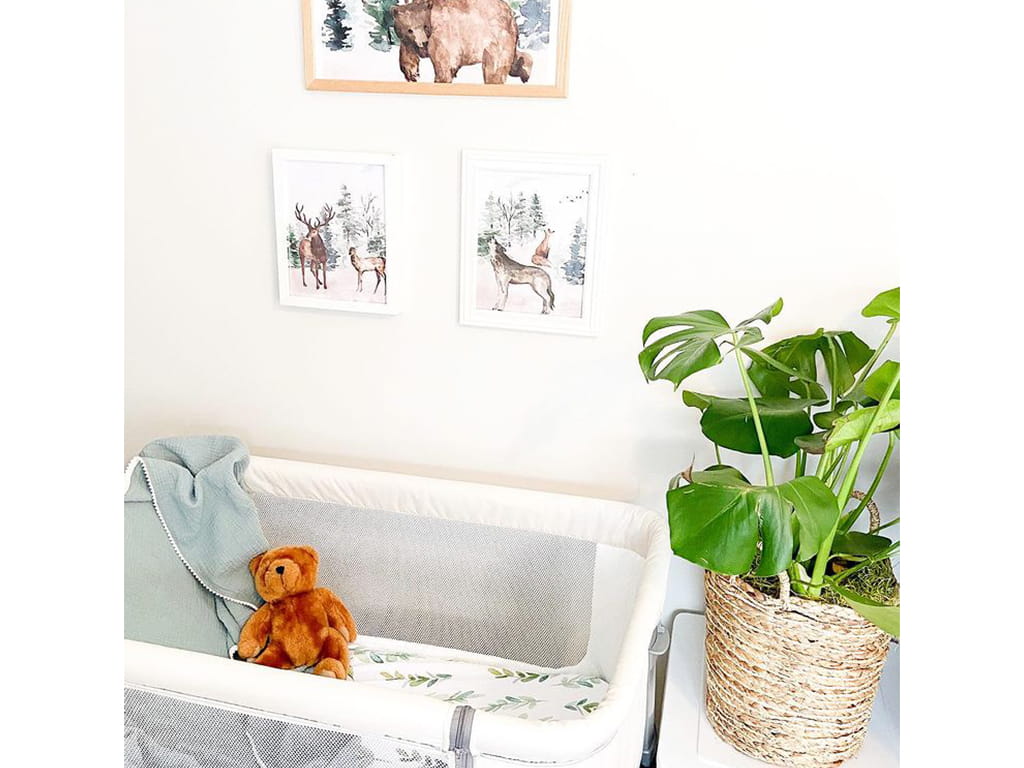 Dream On Me Seashell bassinet and bedside sleeper