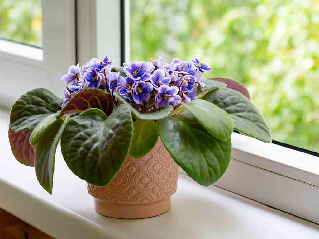 Printable checklist with all times listed above