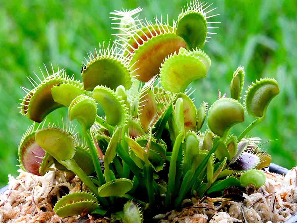 Printable checklist with all times listed above