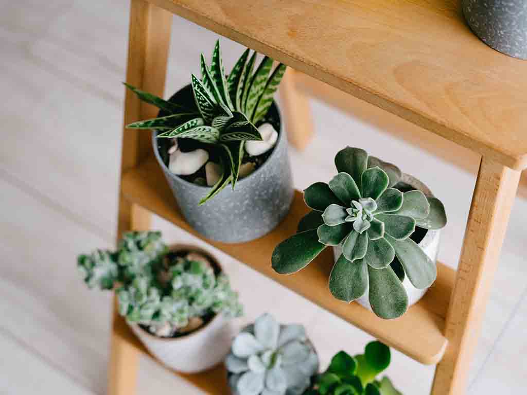 Printable checklist with all times listed above