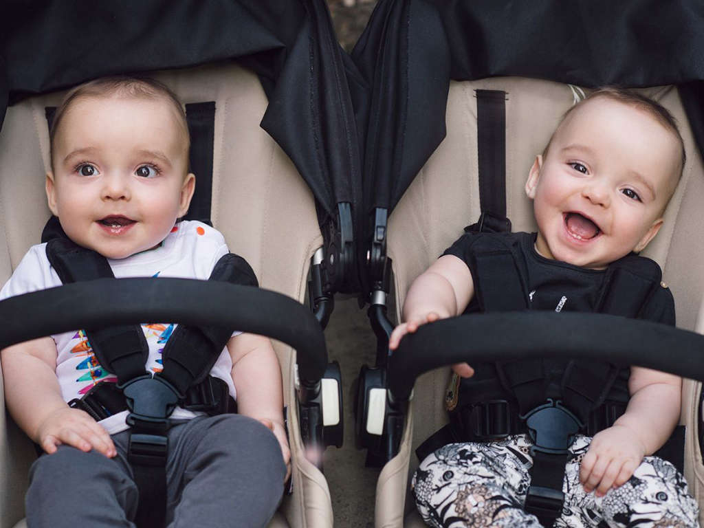 3-point harness vs 5-point harness 3-point harness vs 5-point harness