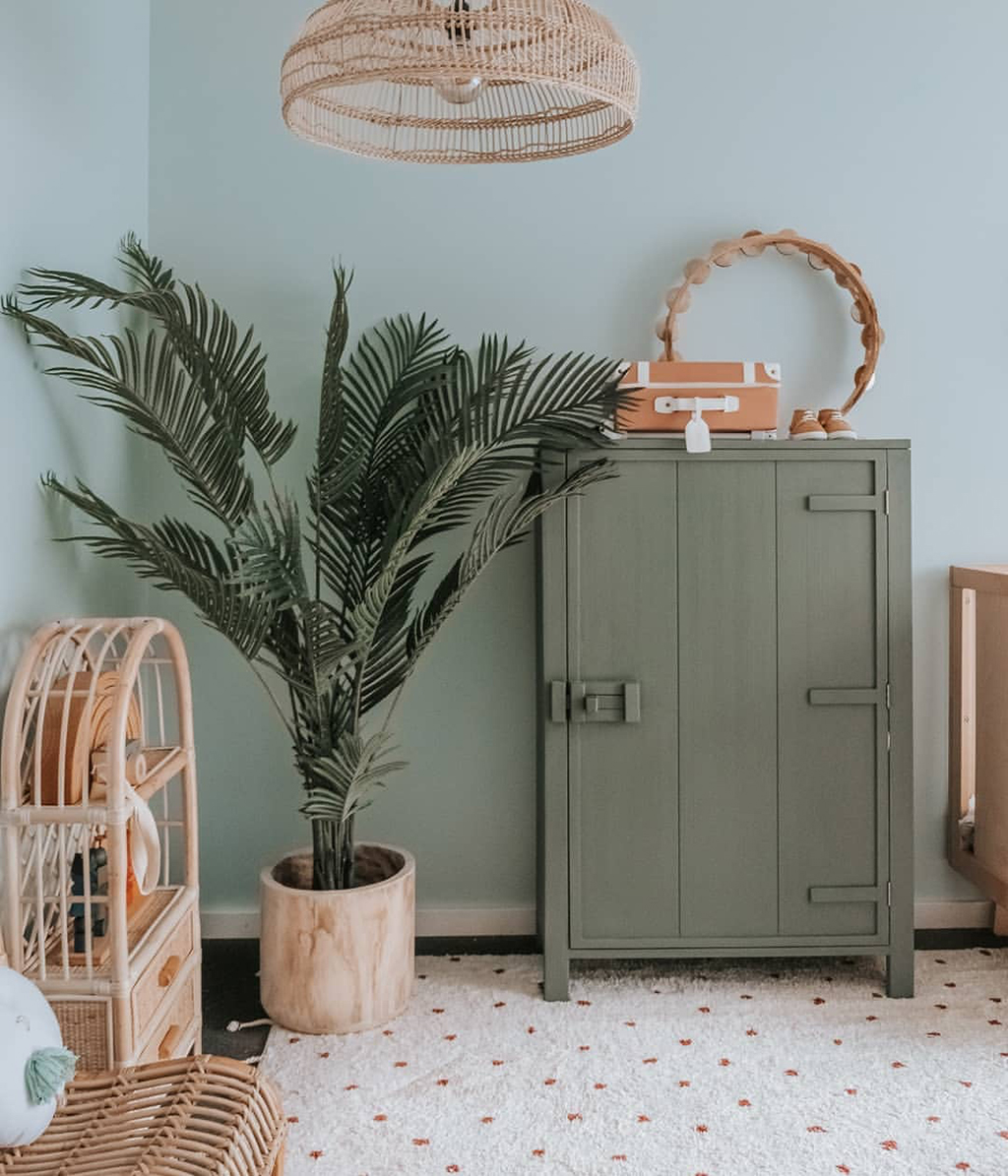 Organic Wild Nursery - Kentia Palm