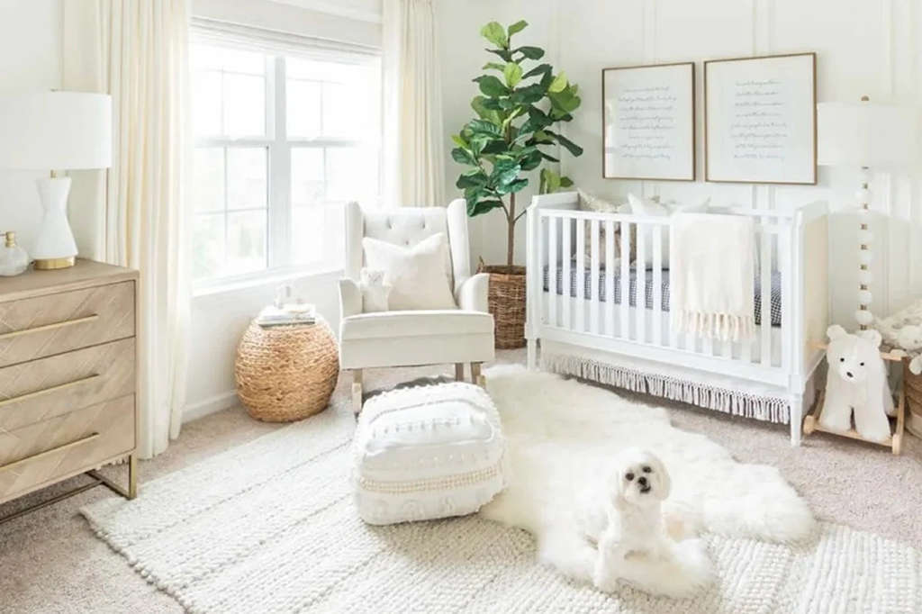 White Colored Furniture