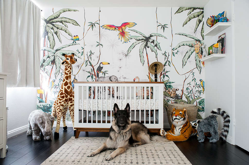 Safari Nursery Decor